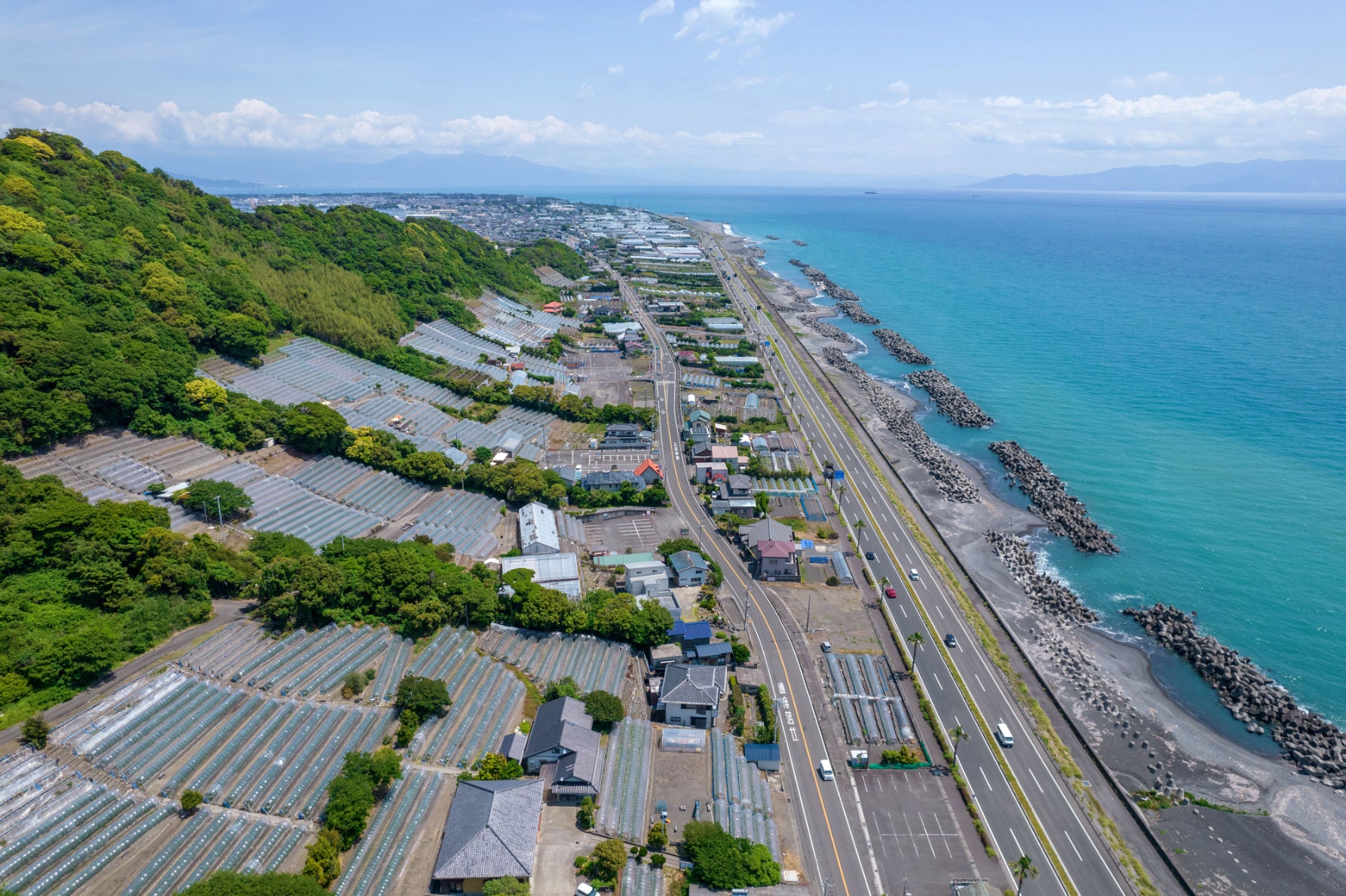 久能海岸の海岸線