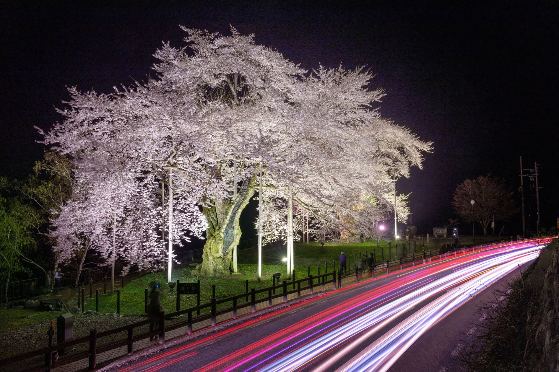 写真5 夜にはライトアップされ、多くの旅行者が訪れる