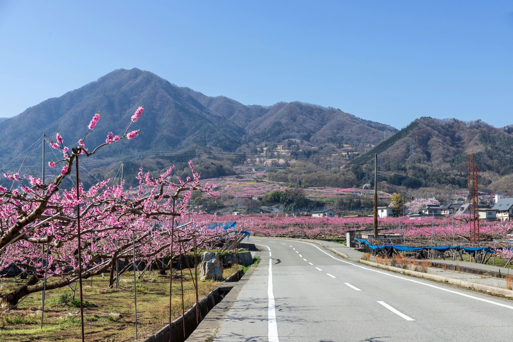 みやさか道