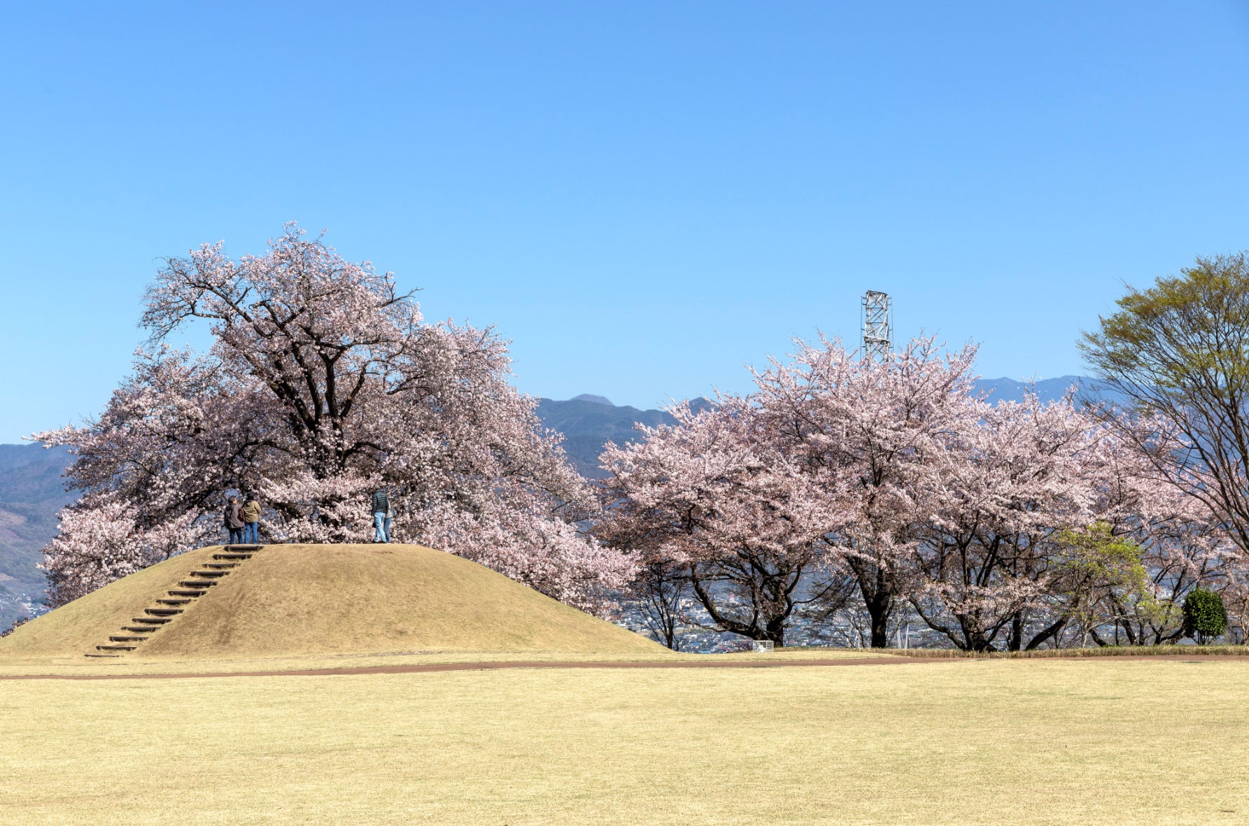 写真5 ドラマの撮影に利用されている岡・銚子塚古墳の公園内