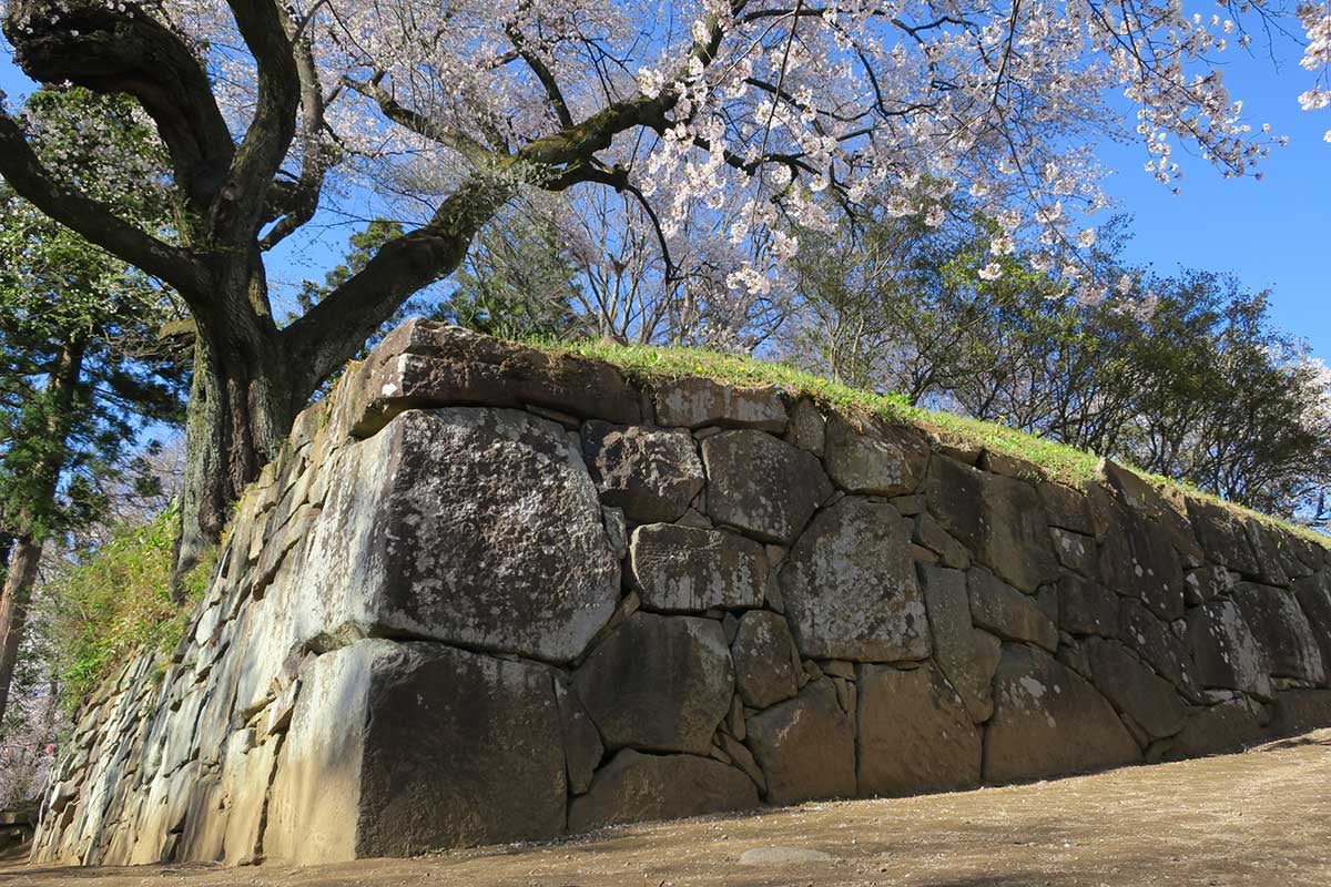 沼田城跡