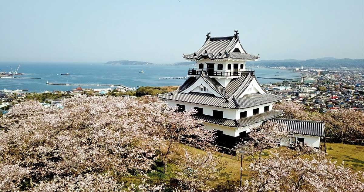 桜の時期の館山城跡