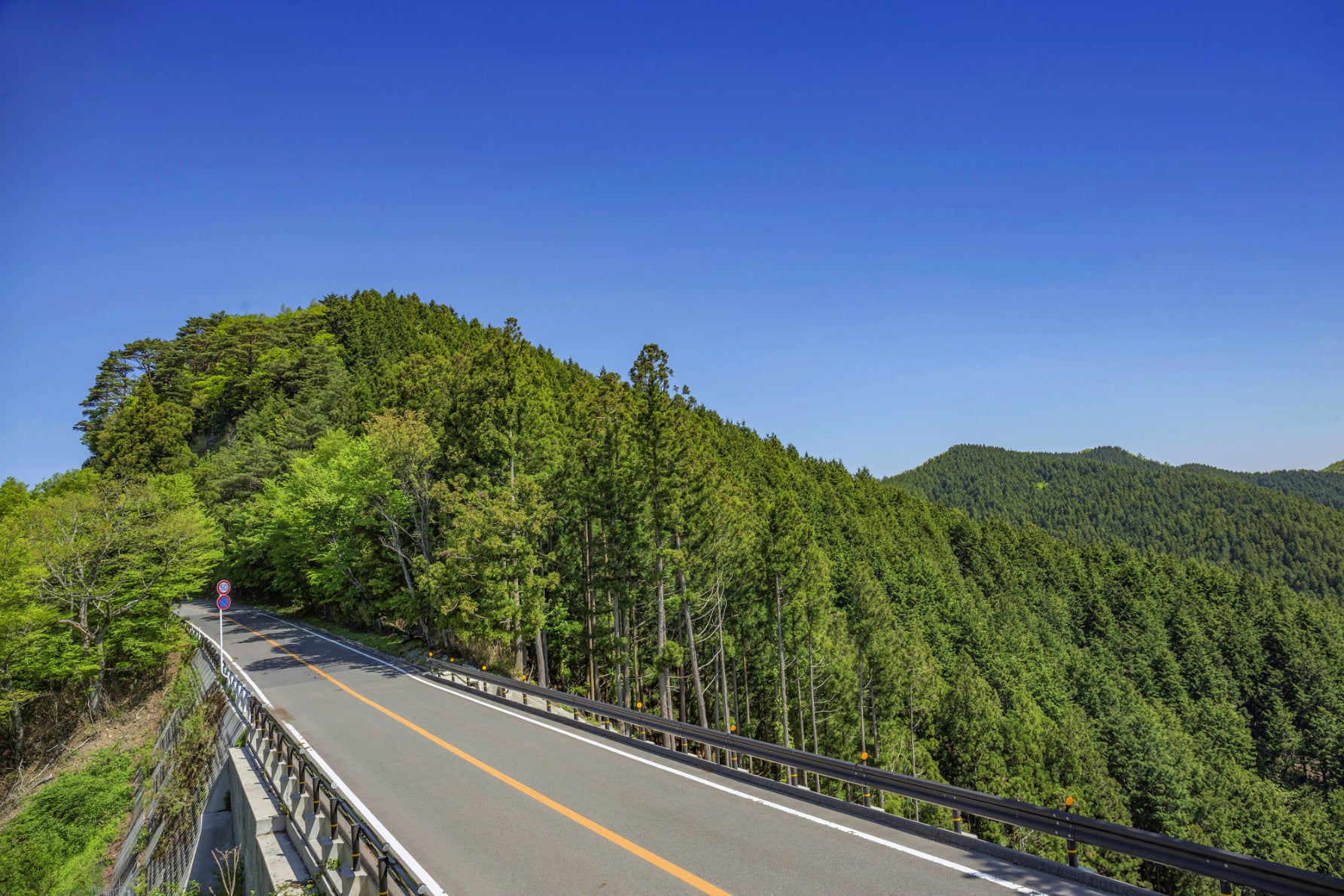 山岳道路のような細かいカーブではなく、ドライブしやすい緩やかな道が続く