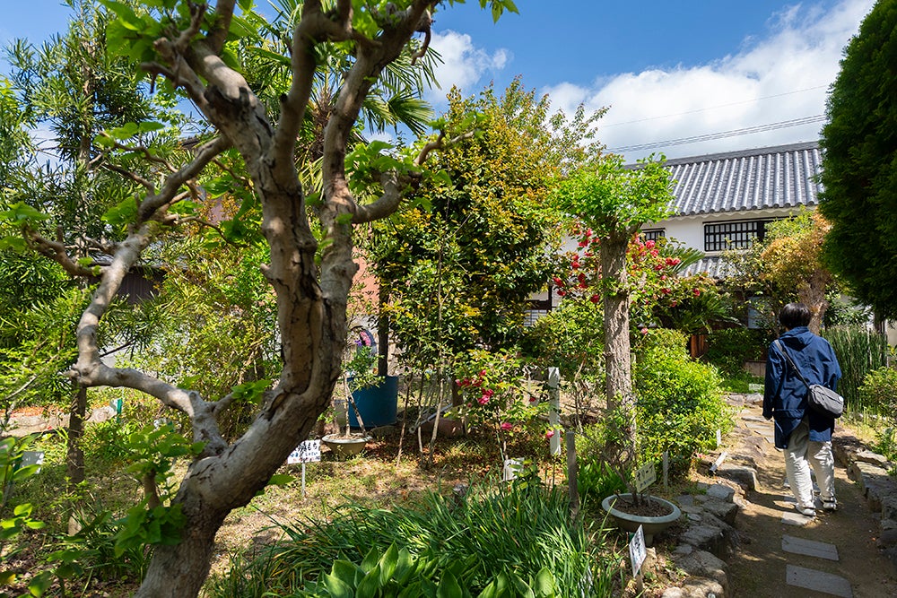 平賀源内旧邸・薬草園