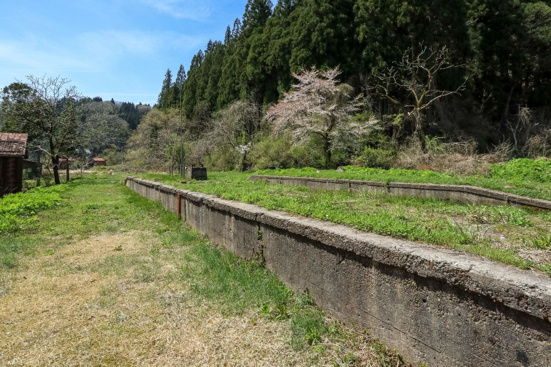 レールはすでに撤去されているが、当時のホームの雰囲気は残っている