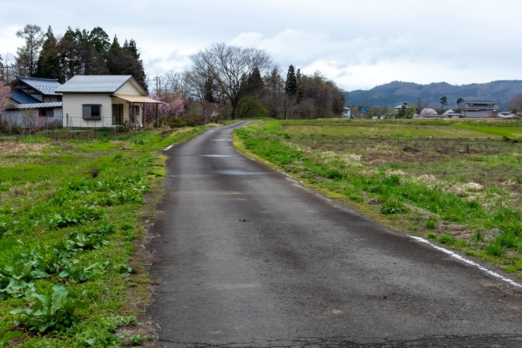 日中線の線路跡は、現在では農道として使われている。緩やかなカーブが当時の線路の証拠だ