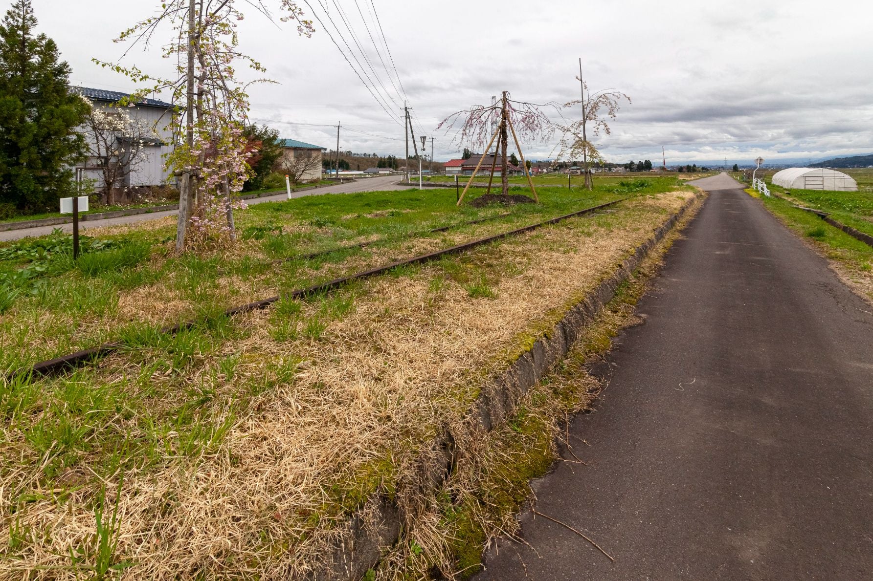 会津加納駅跡に残る線路跡。道路の分岐点にあり、草が茂っていて見えにくいが枕木も残っていた