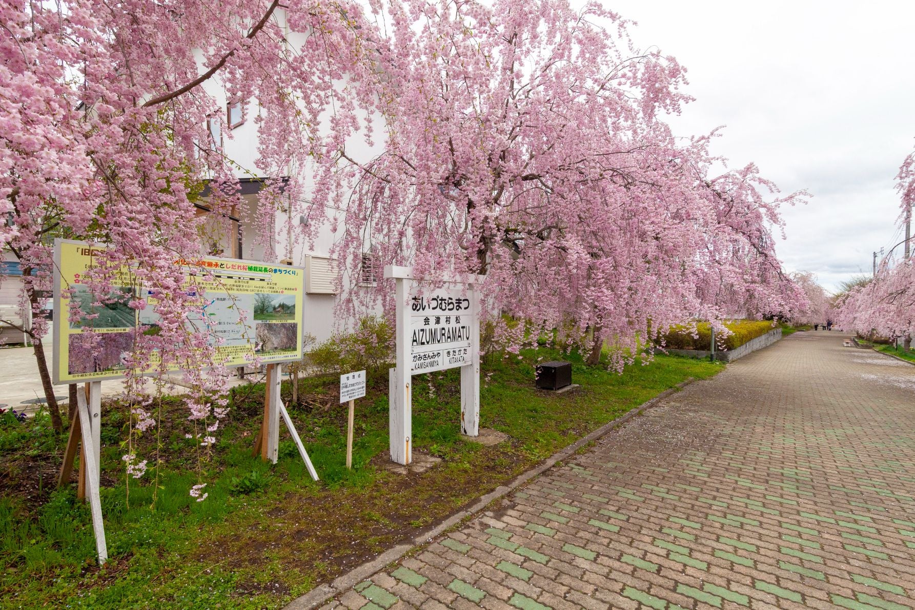 喜多方駅に近くなると『日中線しだれ桜散歩道』と名称が変わる。会津村松駅跡も標識のみだ