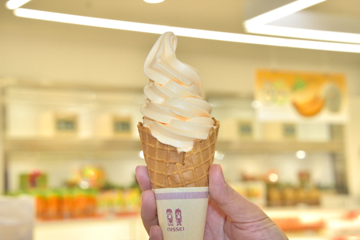 HOKKAIDO FRUITS 耕人舎「夕張メロンソフト」