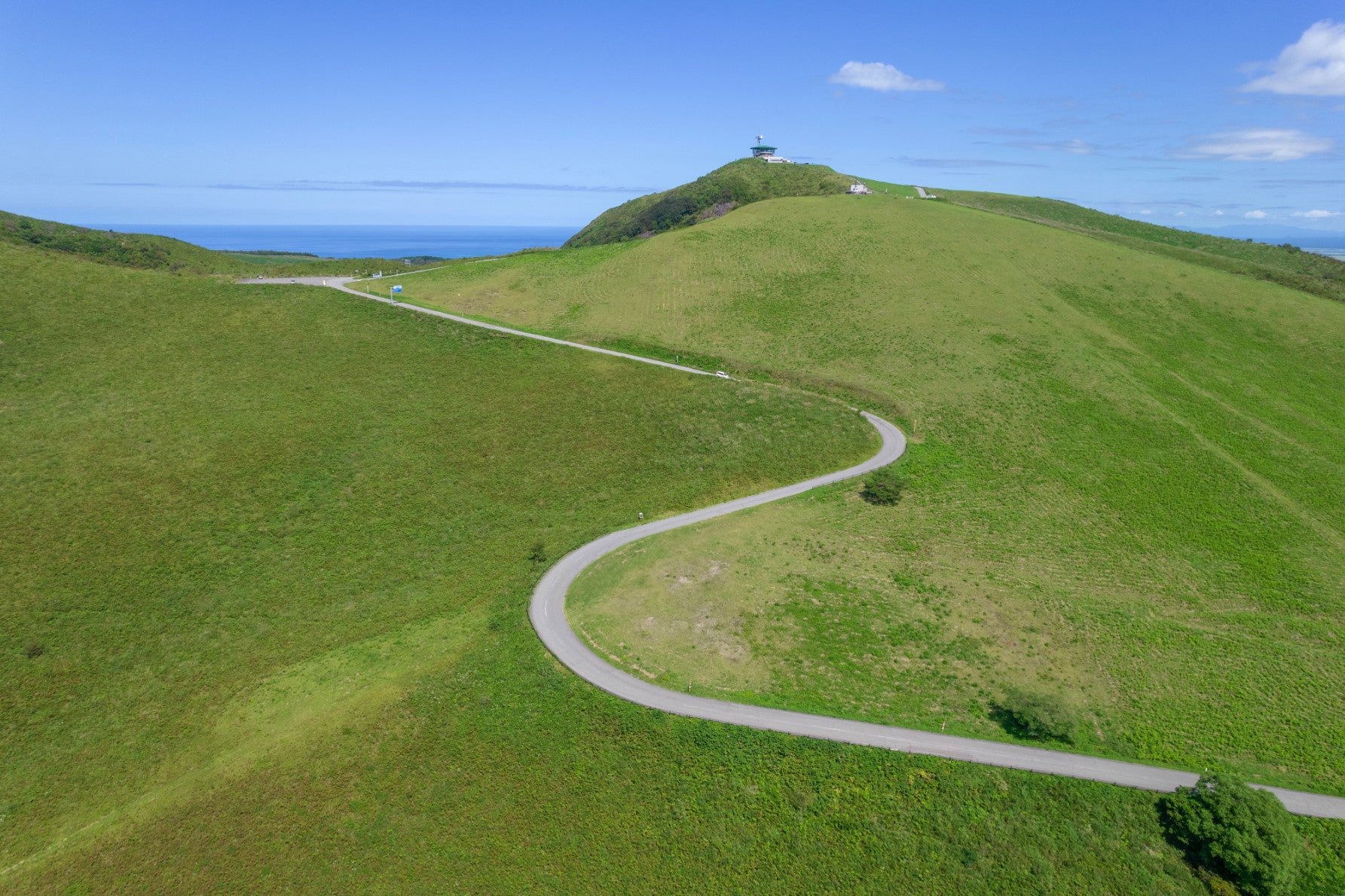 写真2 春には新緑が芽吹き、夏には青々とした草原が広がる寒風山
