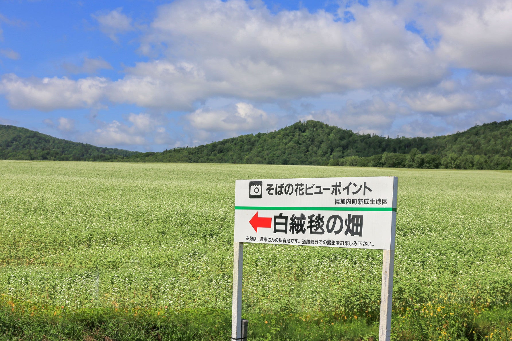 写真3 幌加内は「そばの花ビューポイント」を4か所用意している。ぜんぶ回ってみるといいだろう