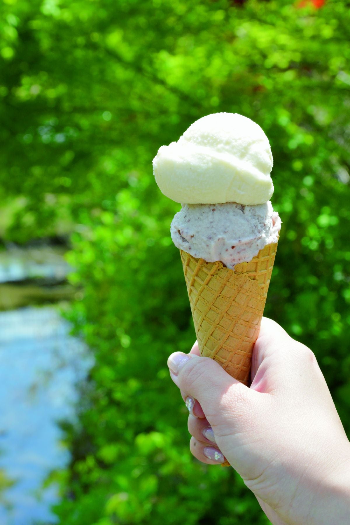 de愛（であい）・ほっこり 見山の郷のアイスクリーム