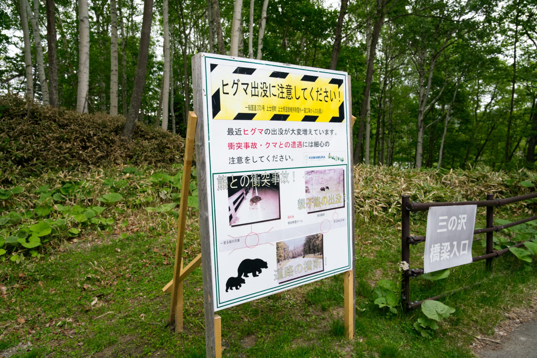 道中１