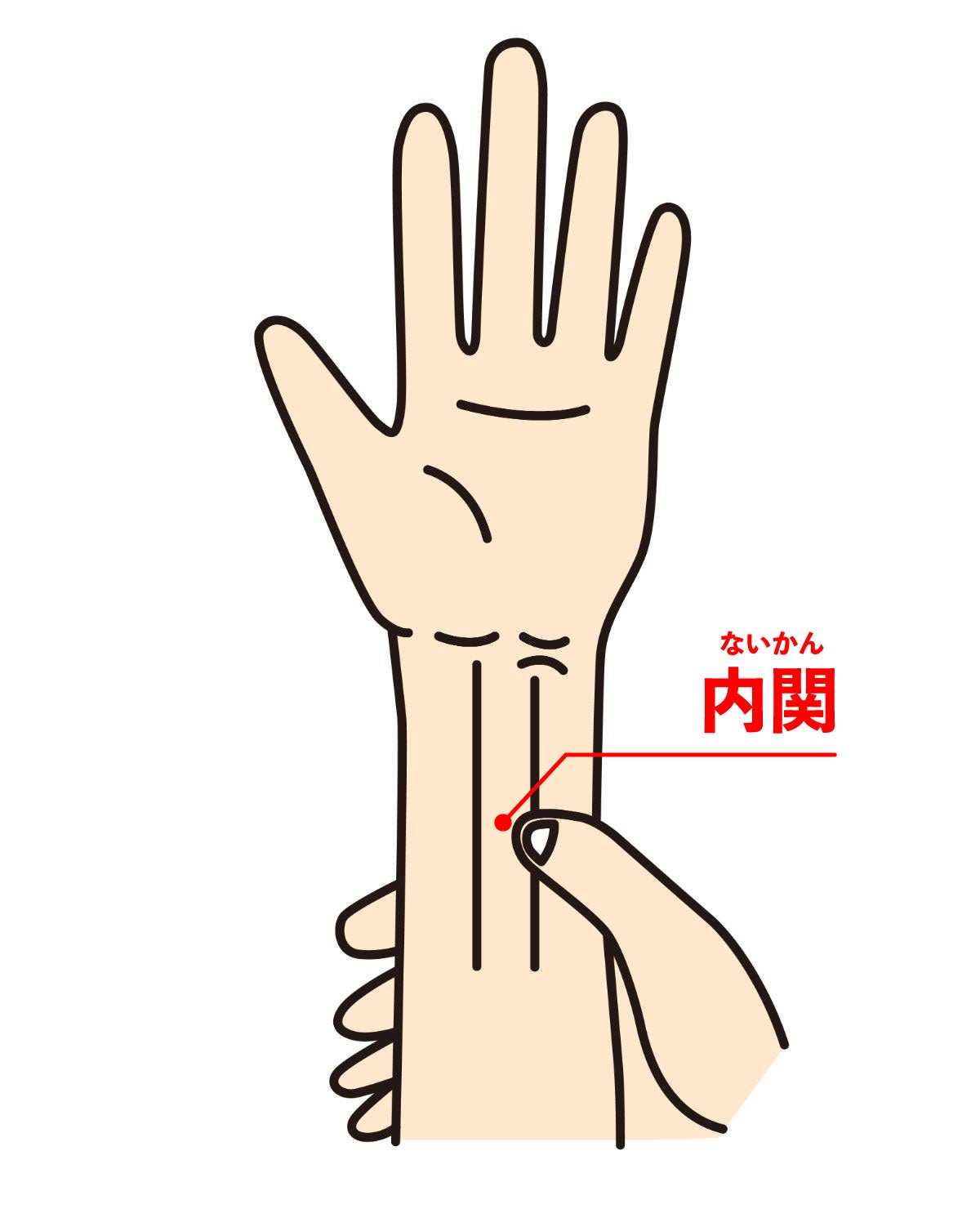 内関の指示イラスト