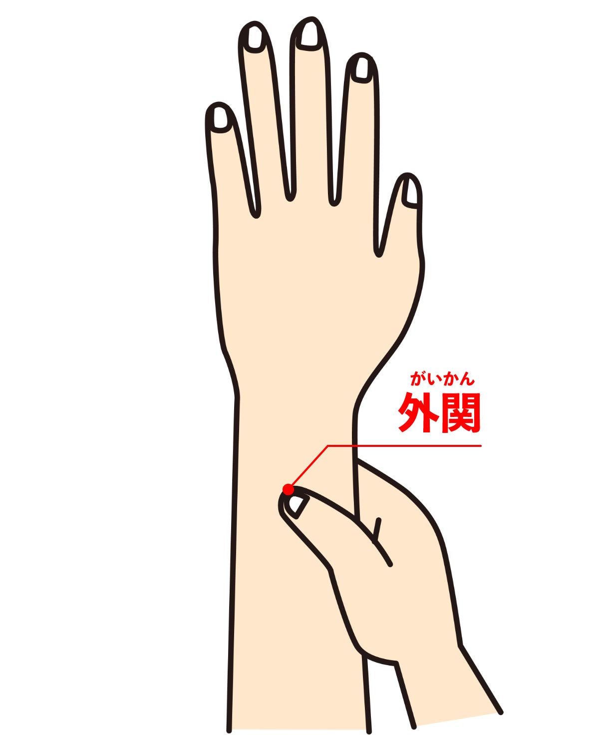 外関の指示イラスト