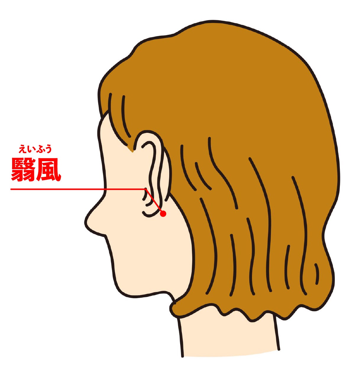 翳風の指示イラスト