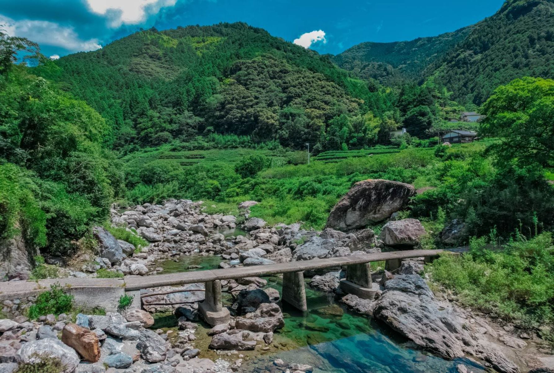 あぁ、日本の夏だ……