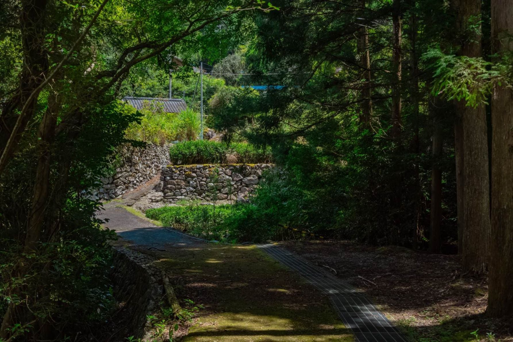近くの集落へと続く道