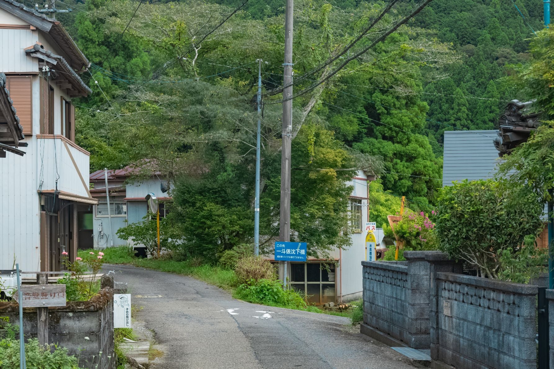 沈下橋へと続く道