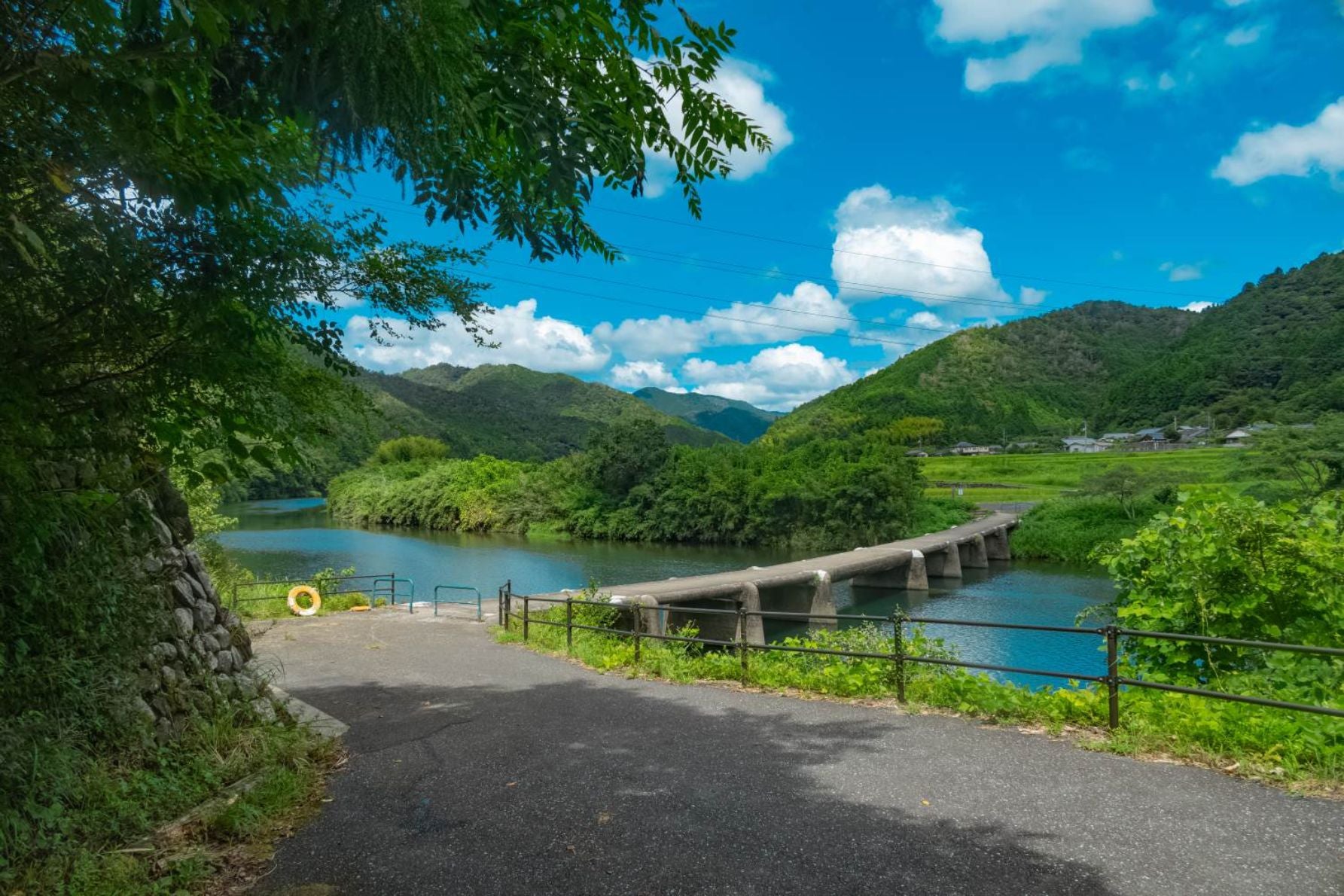 四万十川の青色に浮かんでいた