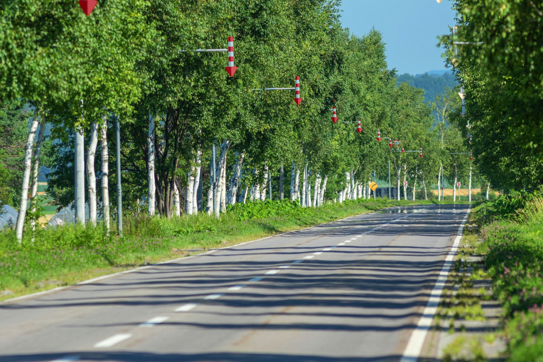写真4 多くのドライバーやライダーから人気があり、北海道の原風景を楽しめる