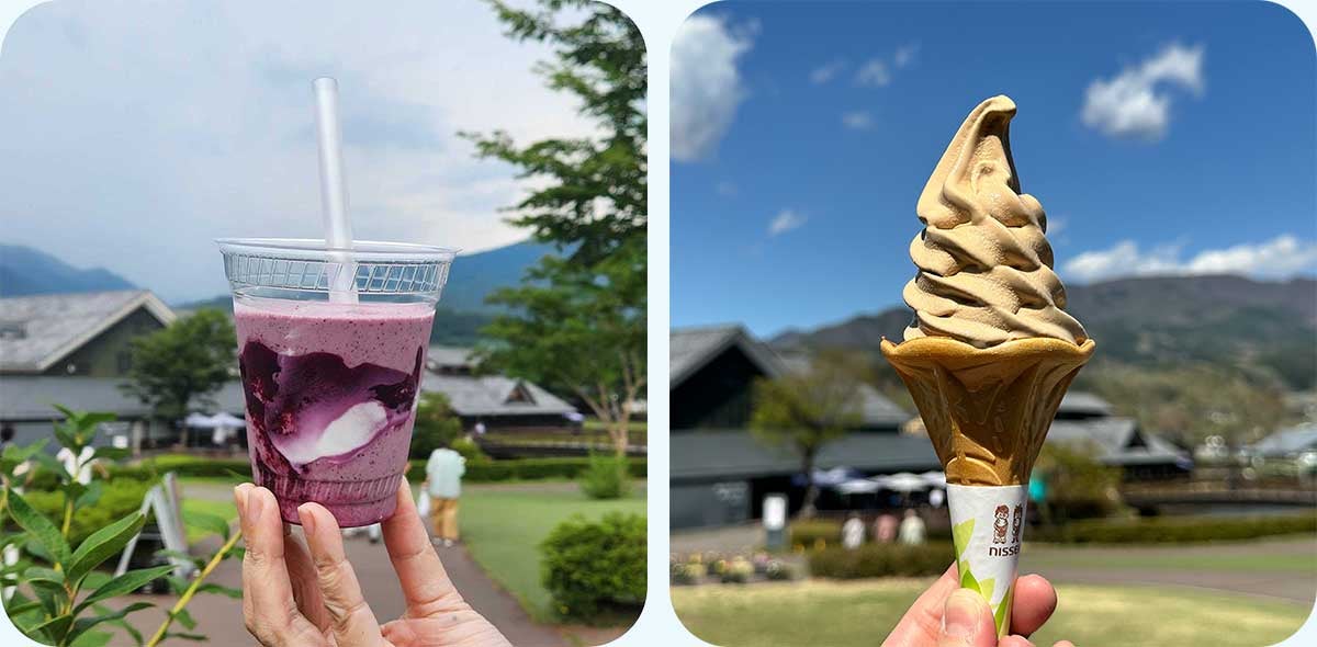 フローズンベリーベリー、コーヒーソフト