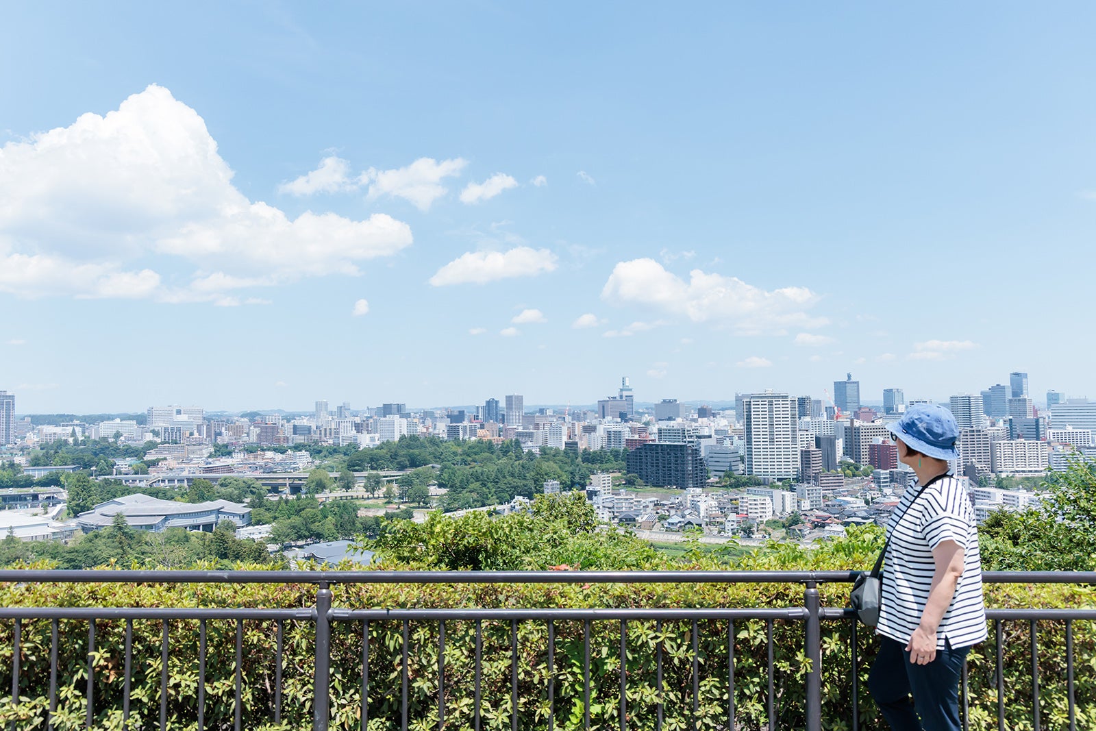 青葉山公園から望む仙台市