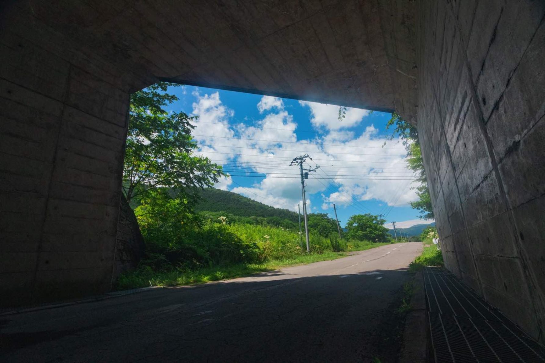 通路越しに夏を見つめる