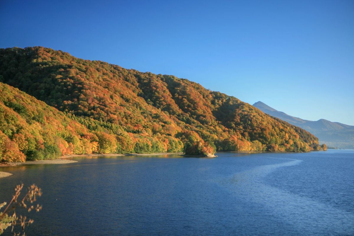 西吾妻スカイバレーから望む桧原湖と紅葉に染まる山々。青空の下、湖畔に広がる秋の絶景が楽しめる福島県の人気ドライブスポット