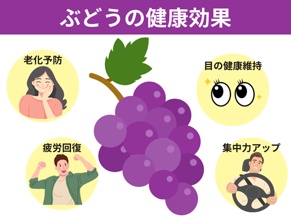 ぶどうの健康効果（老化予防、目の健康維持、疲労回復、集中力アップ）