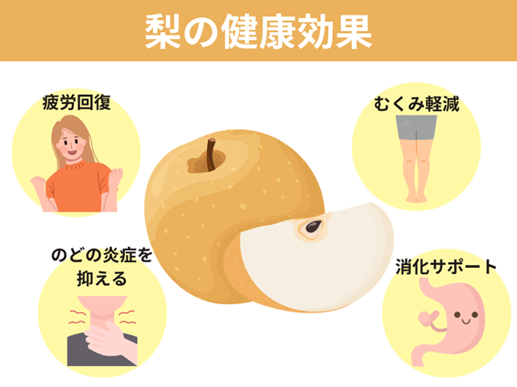 梨の健康効果（疲労回復、むくみ軽減、のどの炎症を抑える、消化サポート）