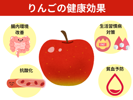 りんごの健康効果（腸内環境改善、生活習慣病対策、抗酸化、貧血予防）