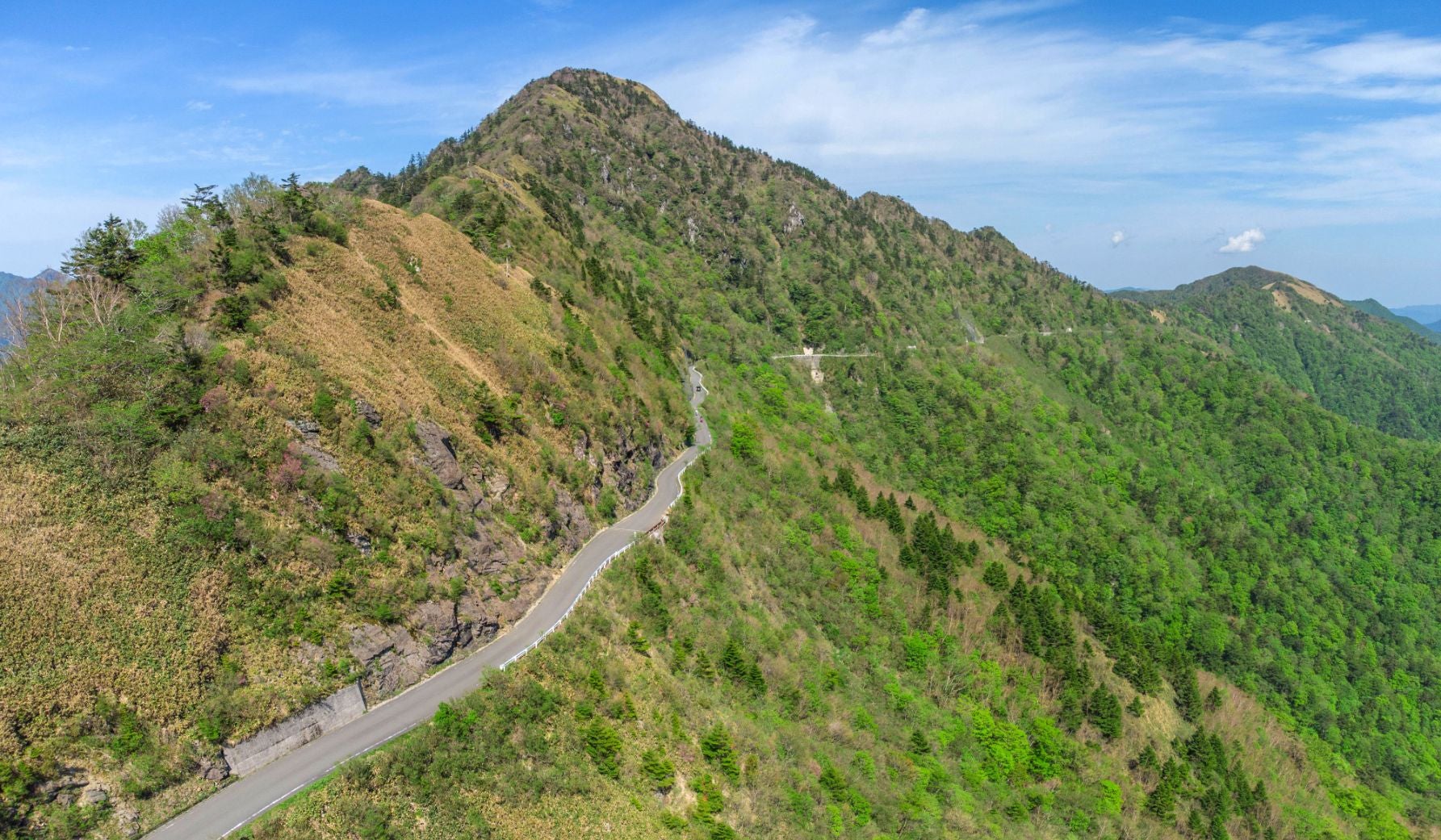  瓶ヶ森林道が曲がりくねりながら進む、緑豊かな山の風景。青空の下、木々に囲まれた自然の絶景ルート