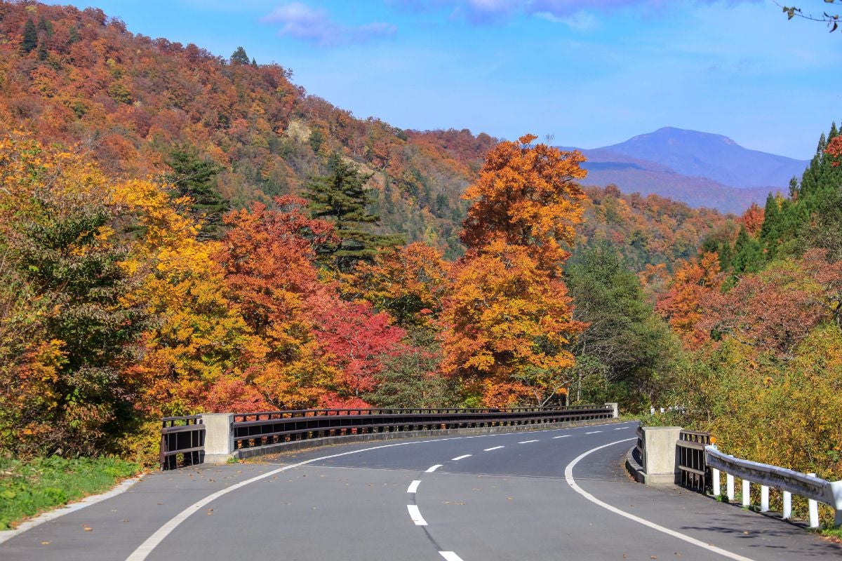 栗駒焼石ほっとラインの秋の絶景｜紅葉に彩られた山道と遠景の山々が織りなす東北の人気ドライブルート