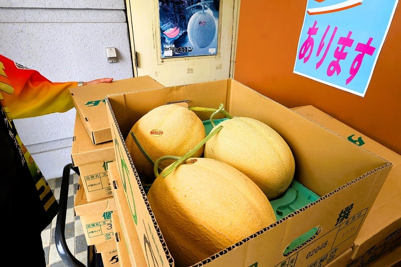 大玉の夕張メロン