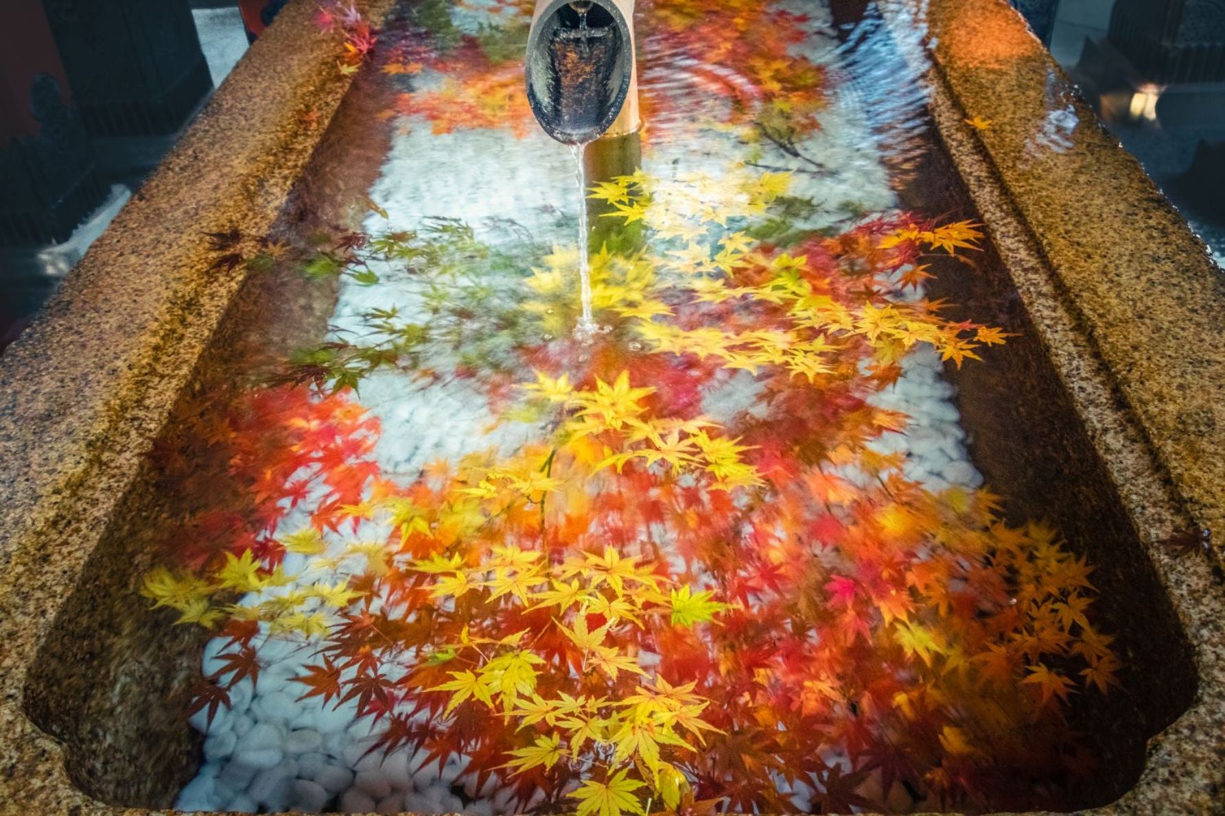 鶴岡八幡宮の手水舎