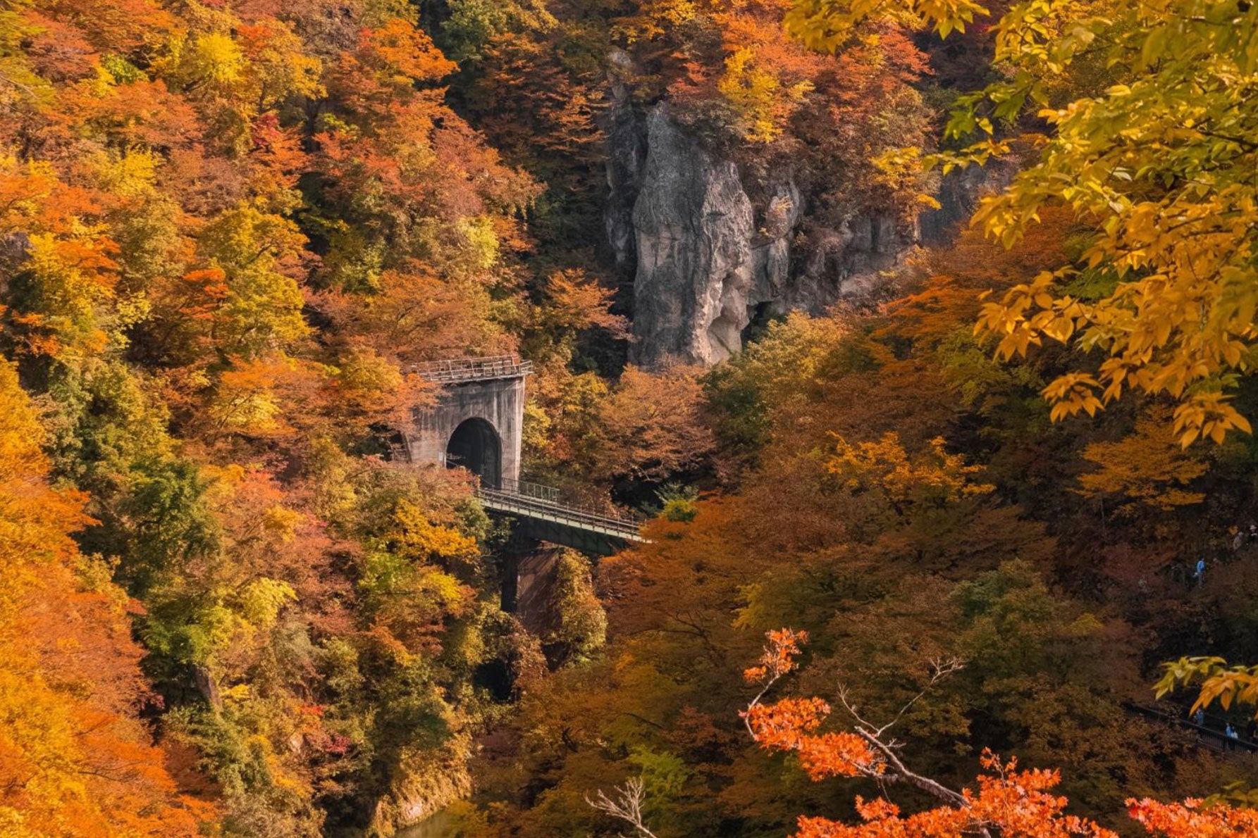 非常に山深い所にトンネルが通っている