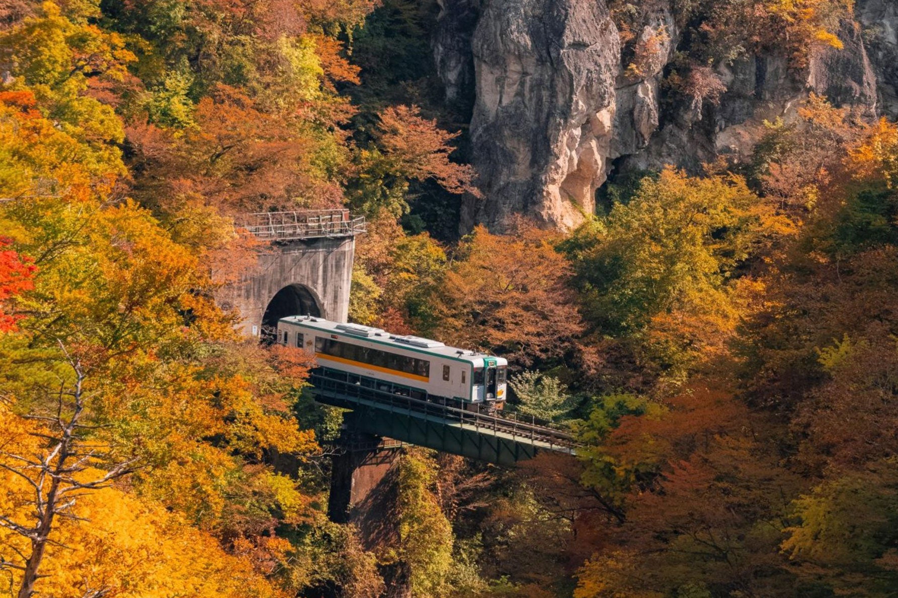 列車がやって来た