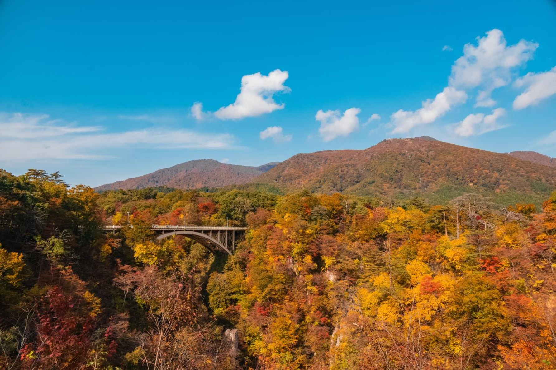 大深沢橋と一面の紅葉