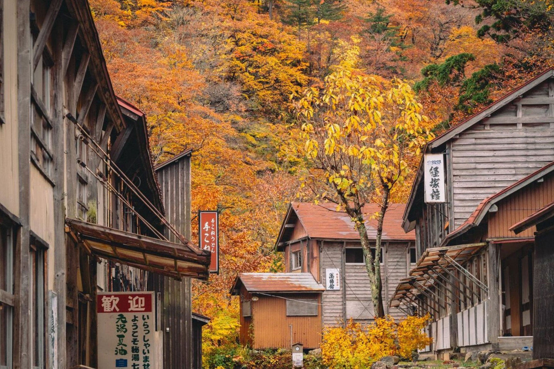 敷地内に数々の建物が並ぶ