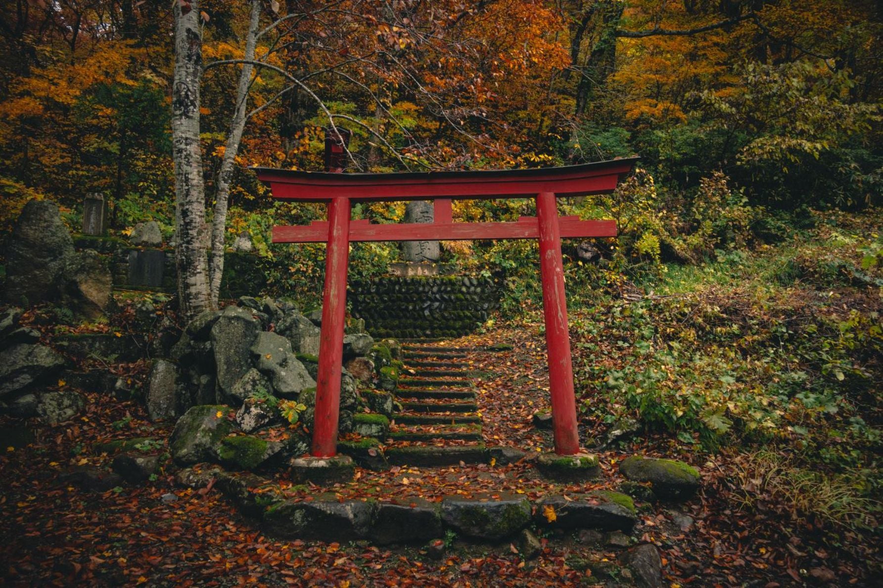 敷地内にある薬師神社