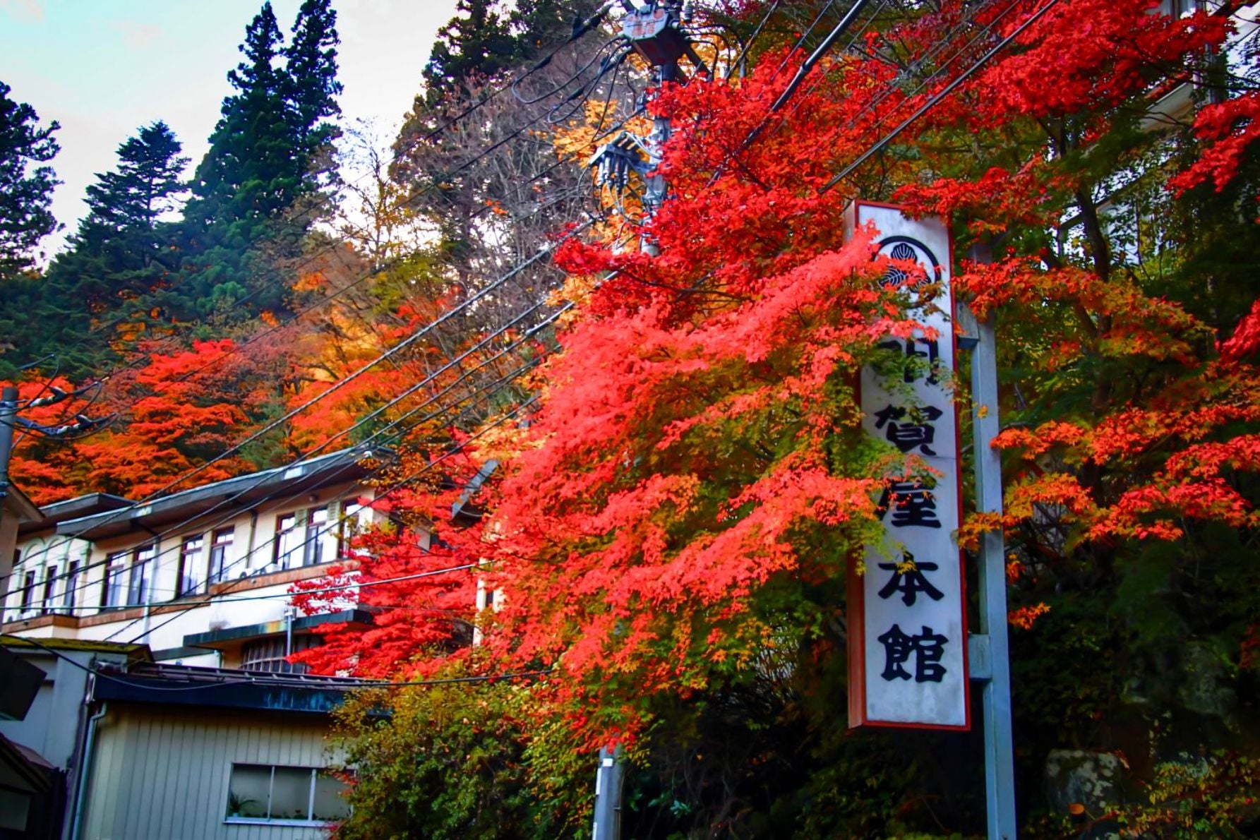 塩原温泉郷にある明賀屋本館