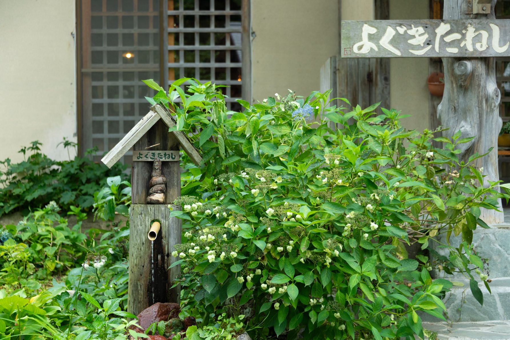 玄関の「よぐきたねし」の看板にほっこり
