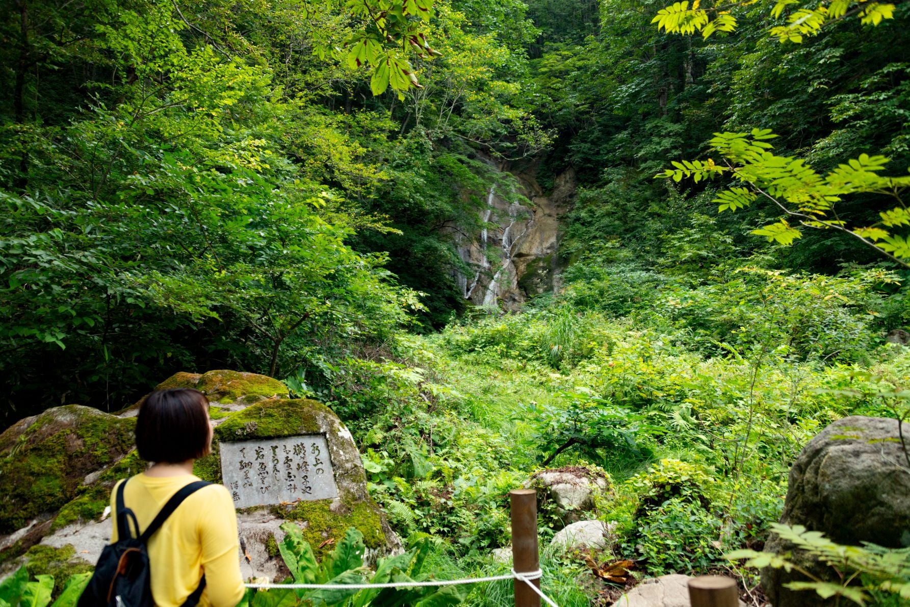 橋を渡った先にある龍神の滝
