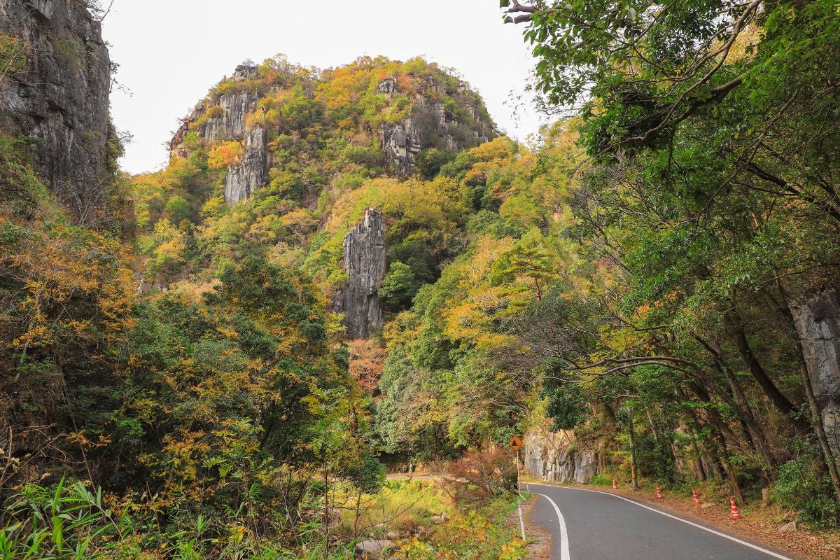 岡山県道57号線が豪渓を走る。緑と紅葉に包まれ、背景には険しい岩壁がそびえる自然豊かな風景