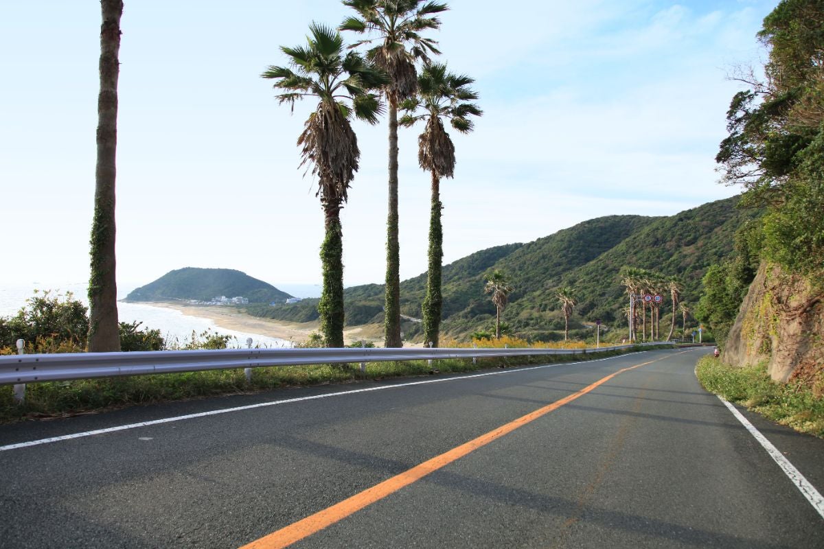 道路の右側に沿って並ぶヤシの木と、遠くに見える伊良湖岬が特徴的な風景