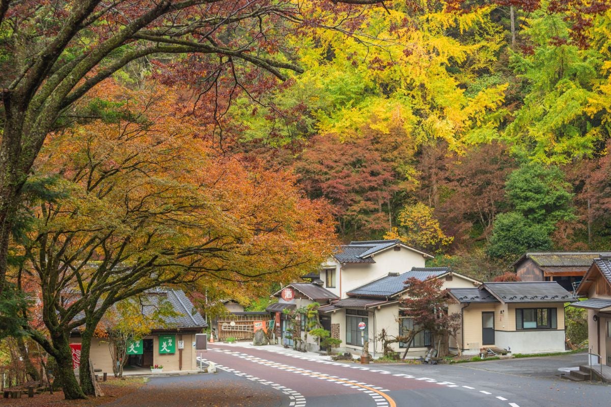 大分県中津市の紅葉名所・深耶馬渓。県道28号沿いに広がる山あいの集落が、秋の見頃を迎えた赤や黄色の紅葉に包まれた絶景風景で、ドライブや観光に人気のスポット