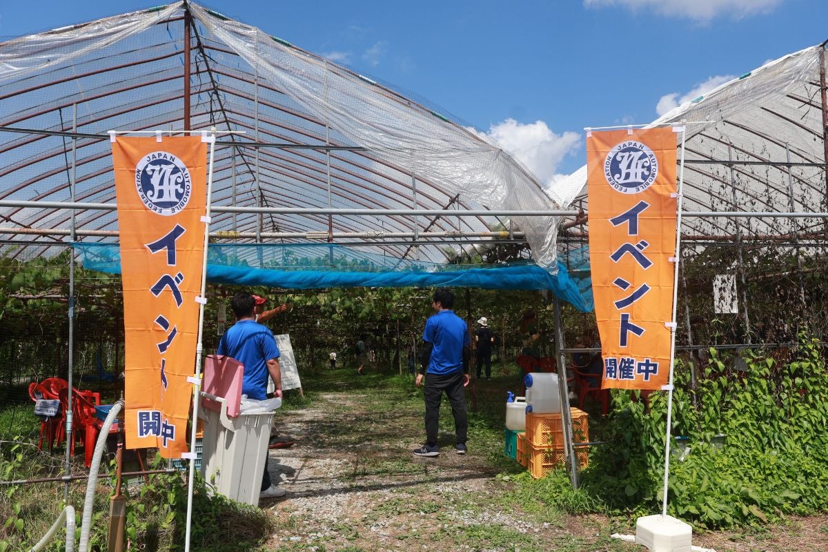 王将果樹園のぶどう畑の入口。JAFフェスティバル東北イベント開催中の案内旗と青空が広がる風景