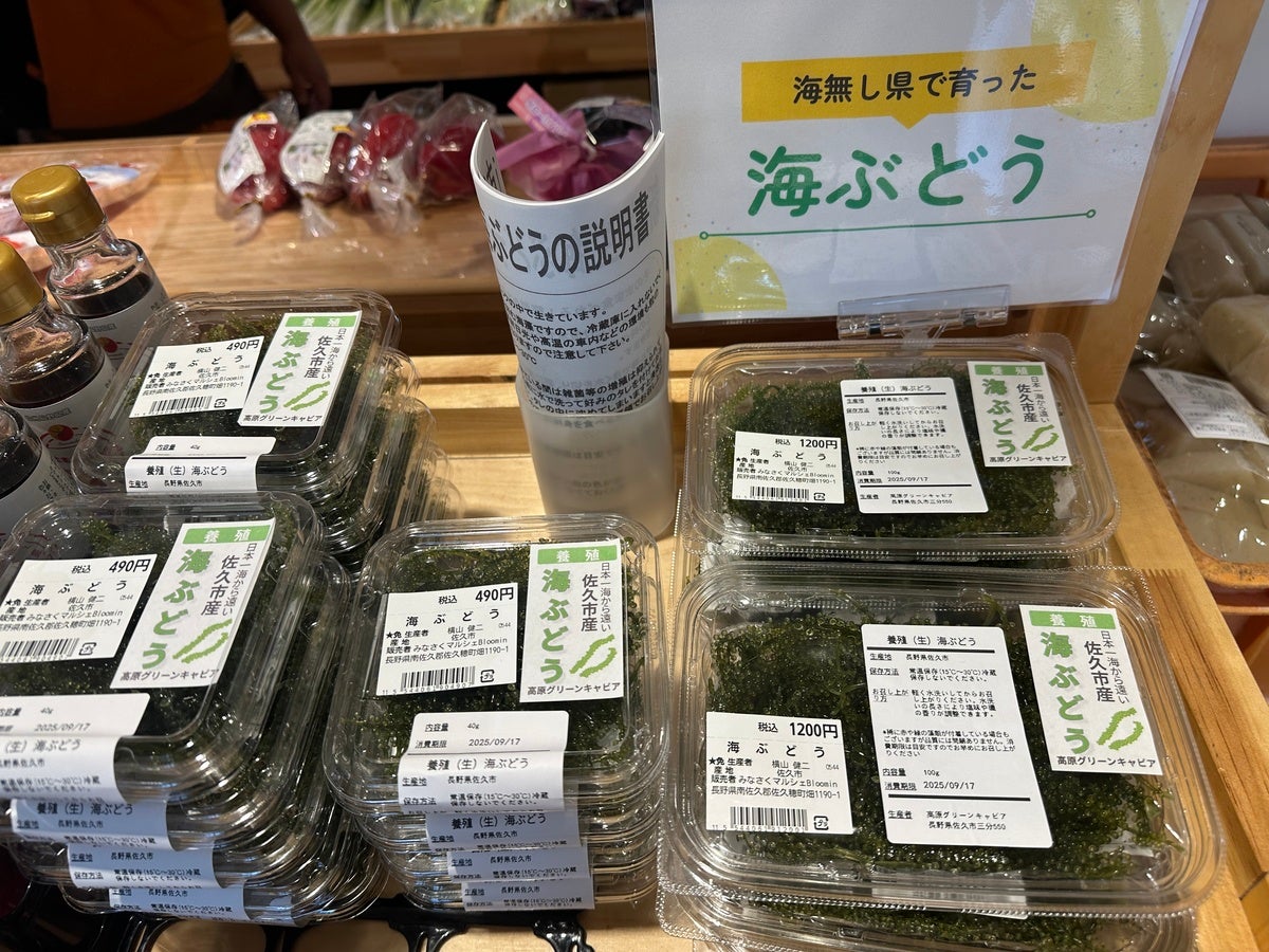 道の駅の直売所に並ぶ海ぶどう