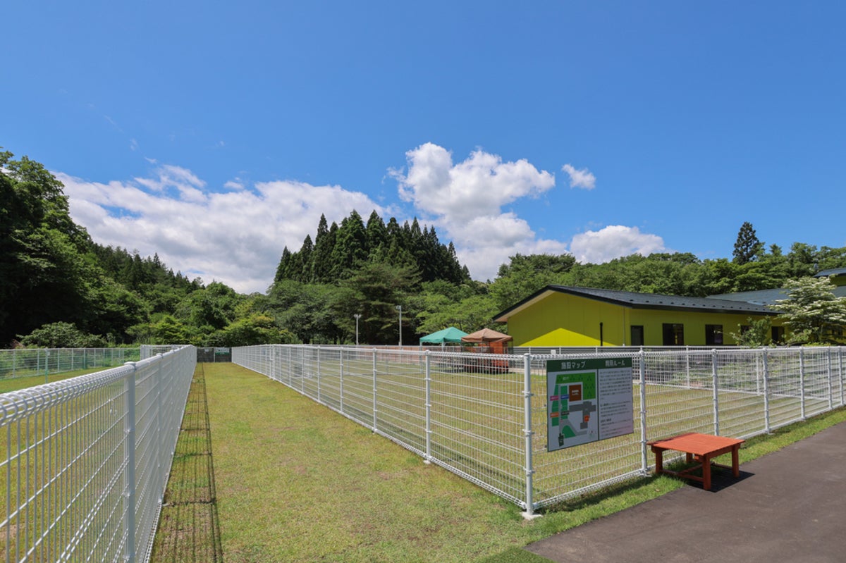 フェンス越しのドッグラン風景